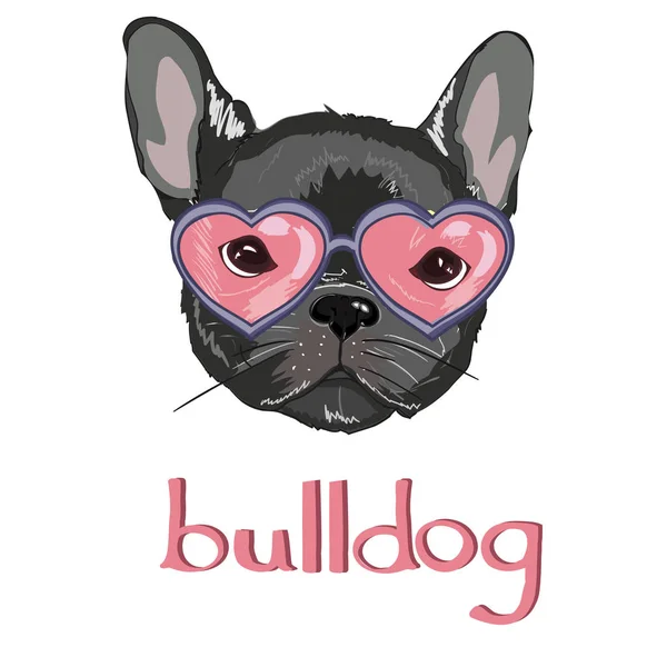 Roztomilý bulldog v sluneční brýle — Stockový vektor