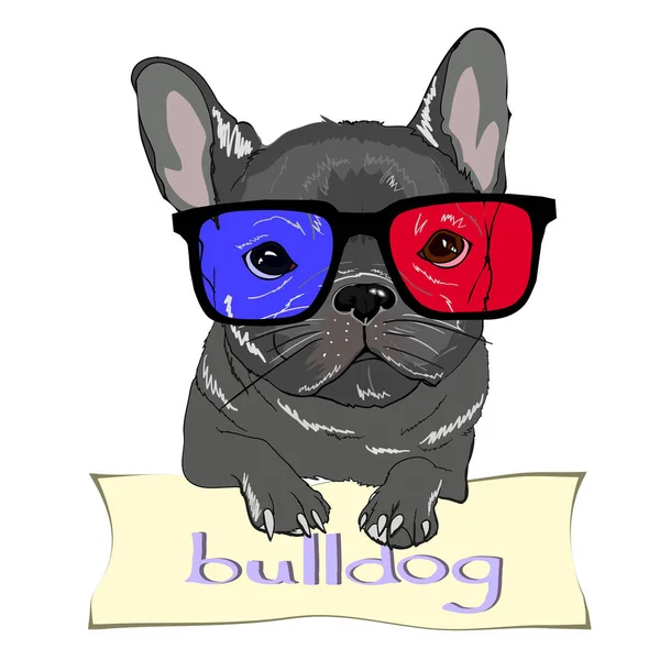 Niedliche Bulldogge mit Sonnenbrille — Stockvektor