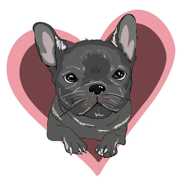 Bulldog francés en el corazón — Vector de stock