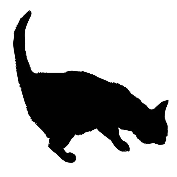 Design der schwarzen Katzensilhouette — Stockvektor