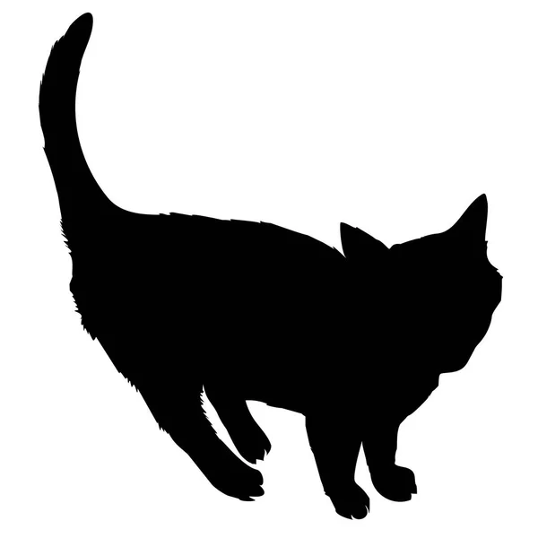 Design de silhueta de gato preto — Vetor de Stock