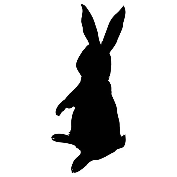 Zwarte konijn silhouet — Stockvector