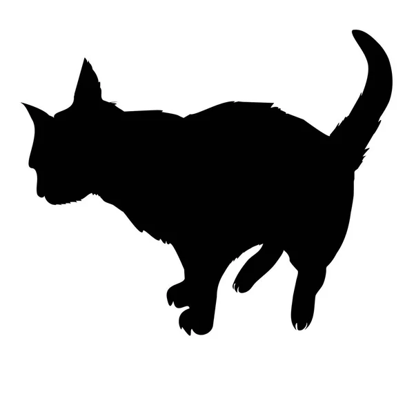 Silhouette chat noir — Image vectorielle