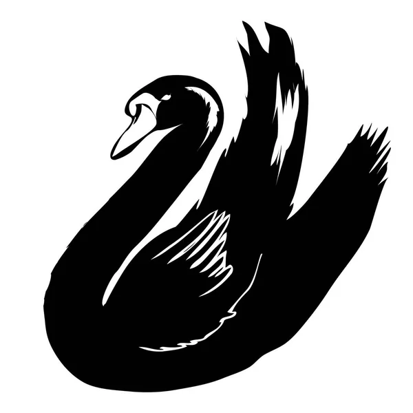 Silueta de cisne negro — Vector de stock