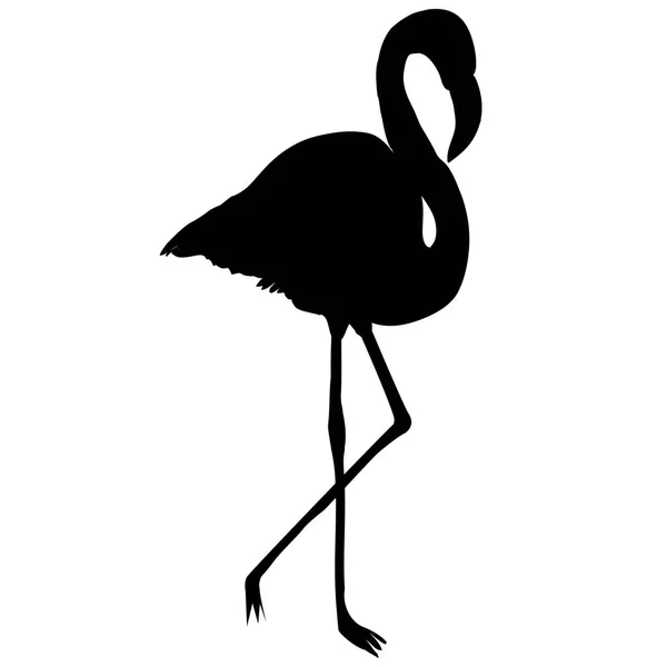 Zwarte Flamingo vorm — Stockvector