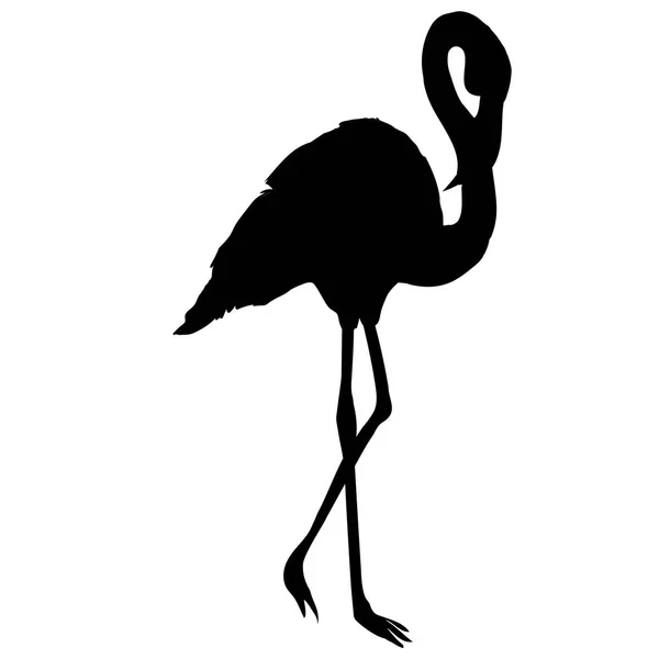 Černé Flamingo tvar — Stockový vektor