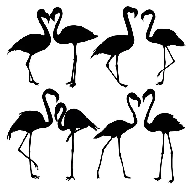 Padrão sem costura Flamingos —  Vetores de Stock