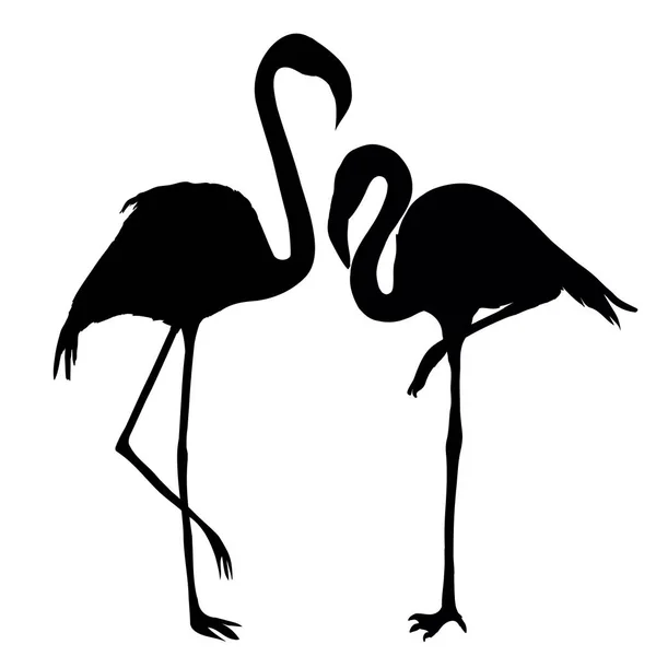 Ontwerp van twee Flamingo 's — Stockvector