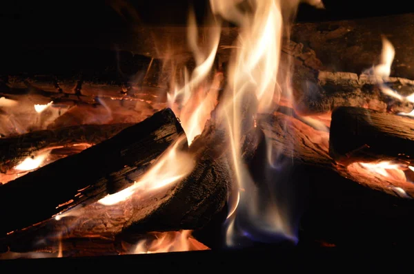 Firewoods burning in fire — Stock Photo, Image