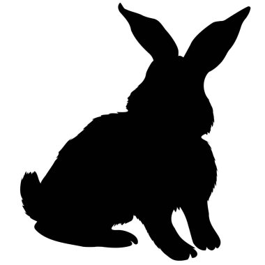 siyah tavşan siluet