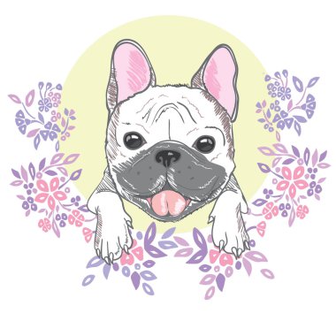 Şirin elle çizilmiş köpek 