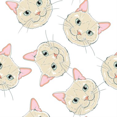 Şirin elle çizilmiş kedi