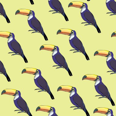 Renkli tucan seamless modeli