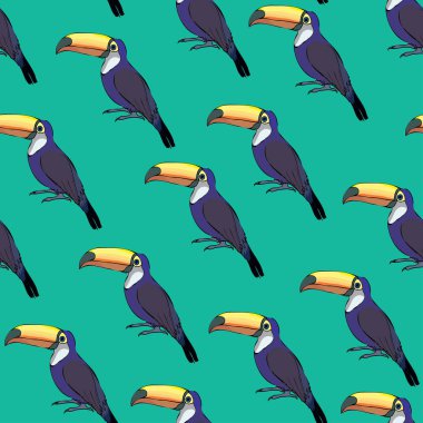 Renkli tucan seamless modeli