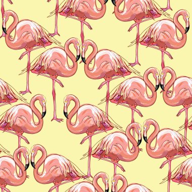 Renkli flamingo kuşu