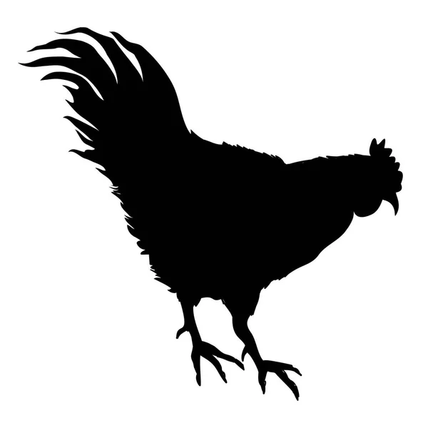 Silhouette gallo nero — Vettoriale Stock
