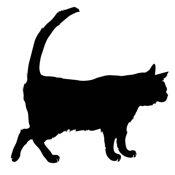 Black cat silhouette — Stock Vector