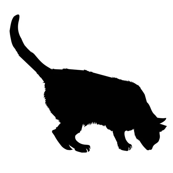 Schwarze Katzensilhouette — Stockvektor