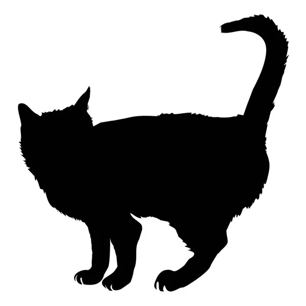 Sylwetka czarnego kota — Wektor stockowy