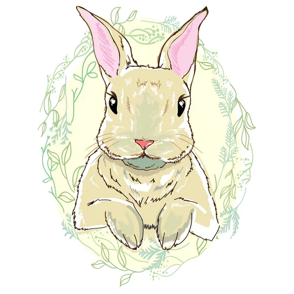 Mignon lapin dessiné à la main — Image vectorielle