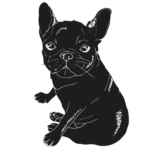 Чорний собака силует — стоковий вектор