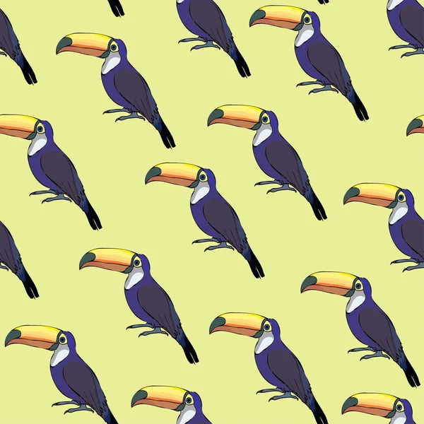 Renkli tucan seamless modeli