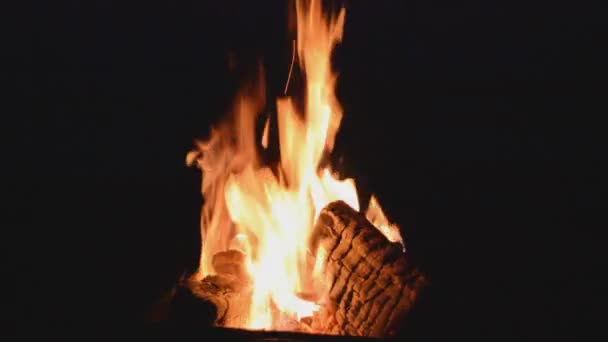 Дрова згоряють у вогні — стокове відео