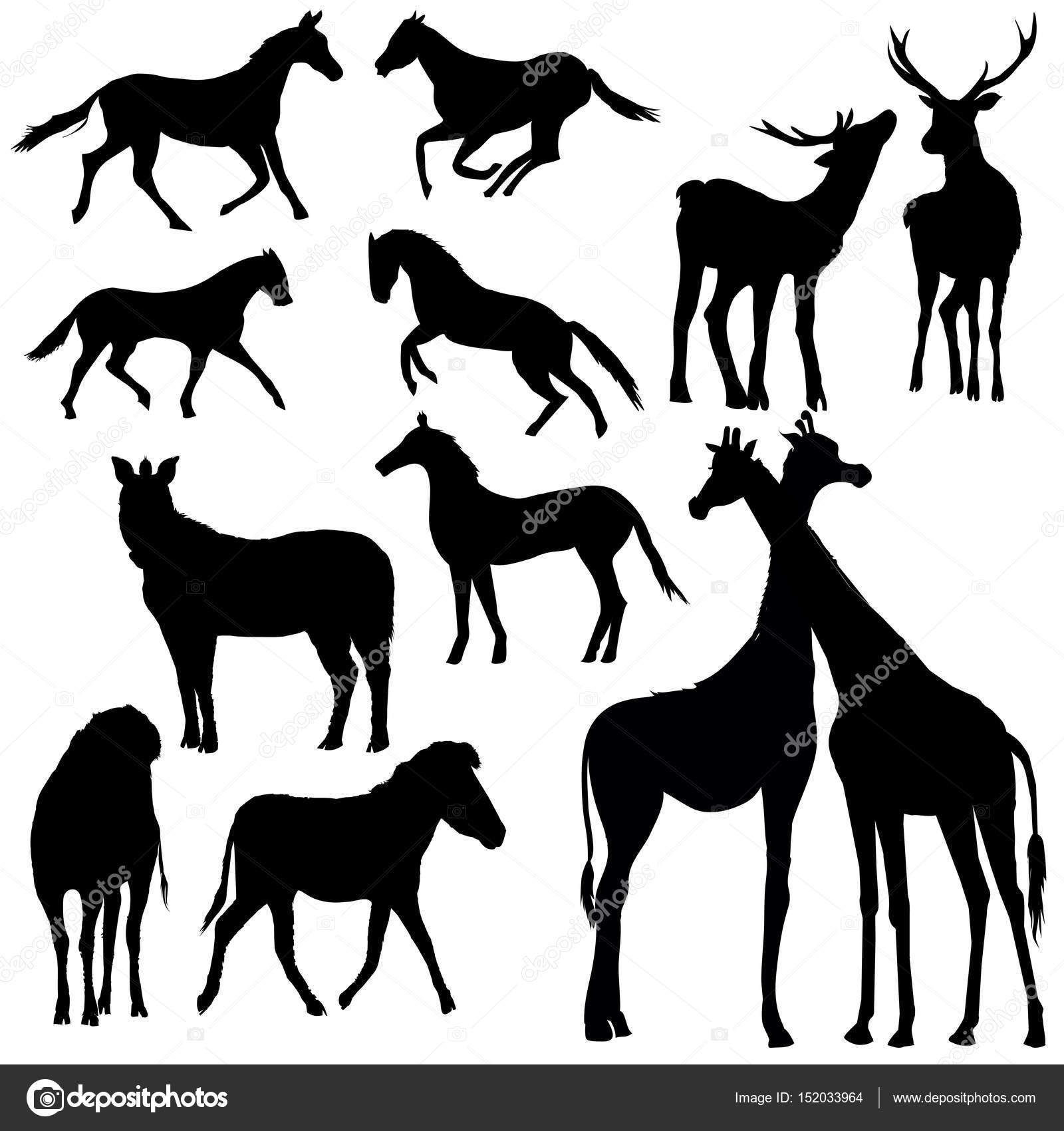 動物シルエット、ベクター、イラスト、シマウマ、キリン、馬 — ストック
