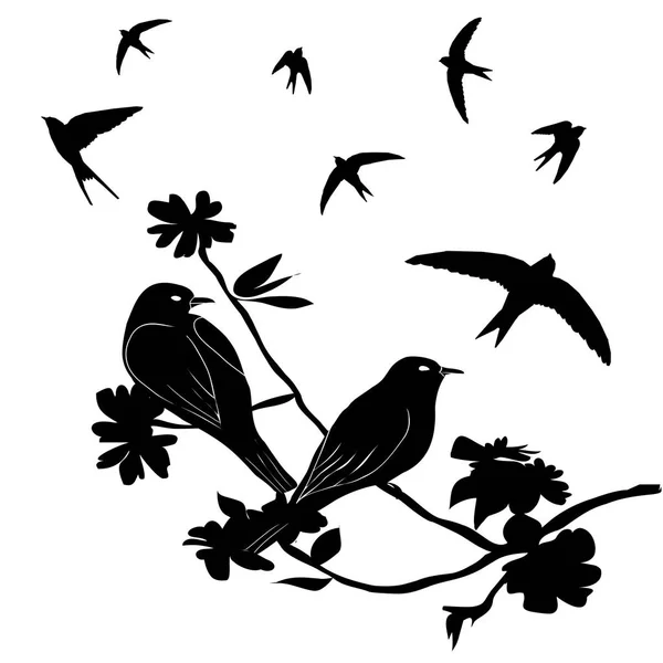 Birds set vector, illustration, white background, isolated — Stock Vector