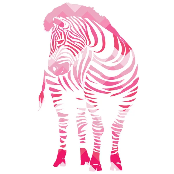 Zebra djur, vektor, illustration, vit bakgrund, isolerade — Stock vektor