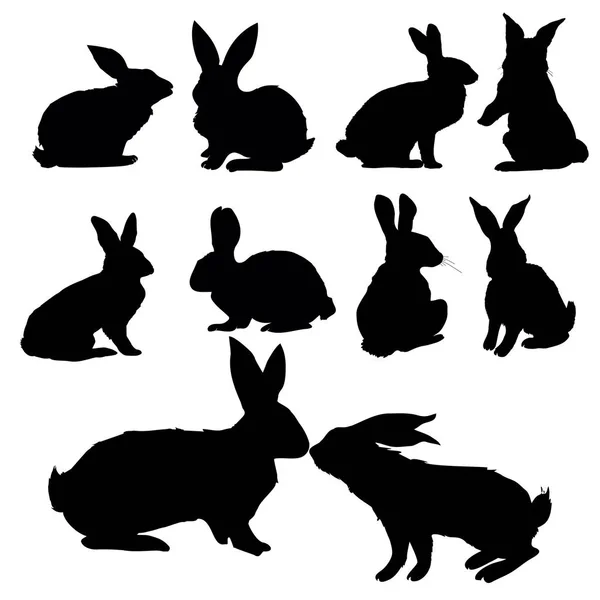 Kaninchen, Silhouette, Vektor, Illustration, weiß, Holz, Hintergrund, isoliert, — Stockvektor