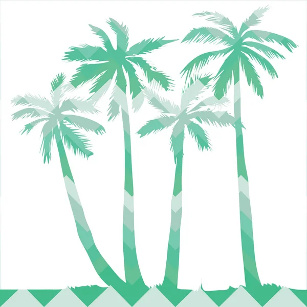 棕榈、 矢量、 插画、 白色、 分离的背景下，, — 图库矢量图片