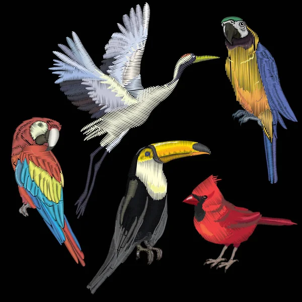 Vögel setzen Vektor, Illustration, weißer Hintergrund, isoliert — Stockvektor