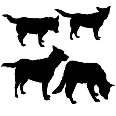 köpek siluet, vektör, illüstrasyon