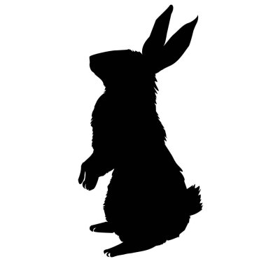tavşan siluet, vektör, illüstrasyon