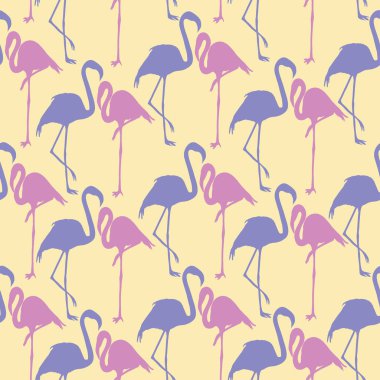 Flamingo model, vektör, illüstrasyon