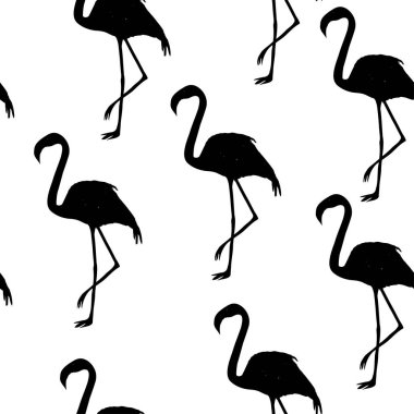 Flamingo model, vektör, illüstrasyon