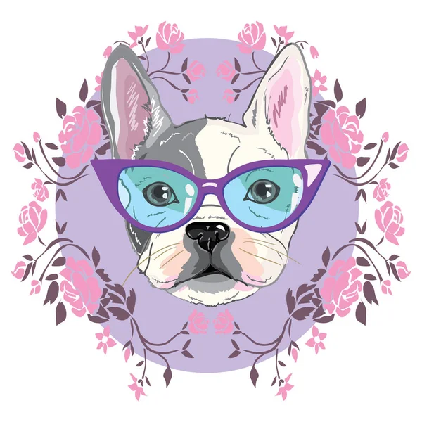 Bulldogge mit Brille, Welpe, Hund, Vektor, Illustration — Stockvektor