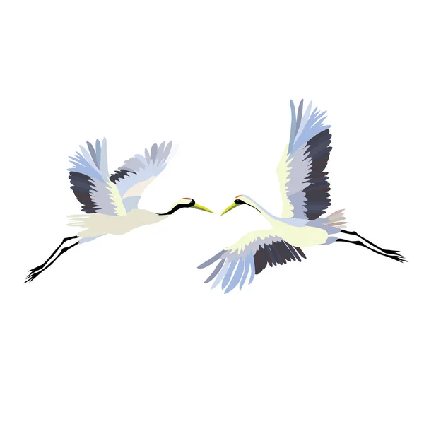 La grue oiseau, vecteur, illustration — Image vectorielle