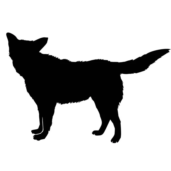 Silhouette de chien, vecteur, illustration — Image vectorielle