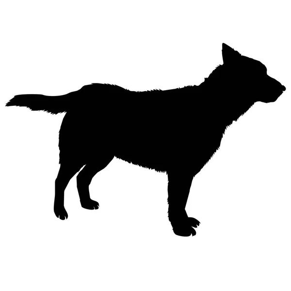 Silueta de perro, vector, ilustración — Archivo Imágenes Vectoriales