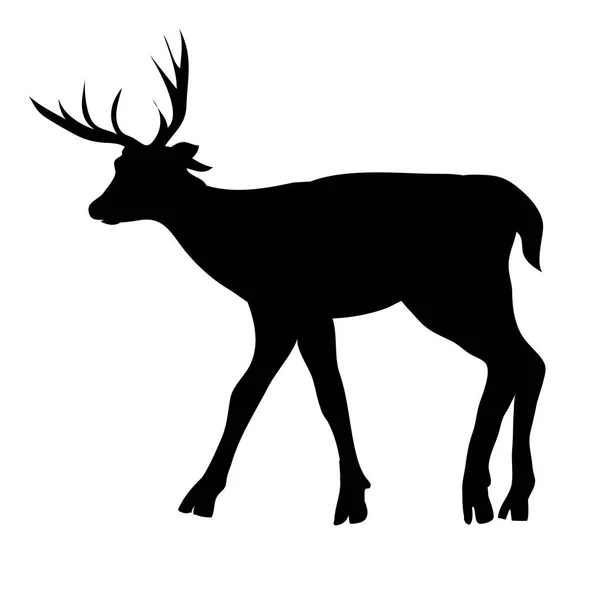 Deer silhouette, vector, illustration — Stock Vector