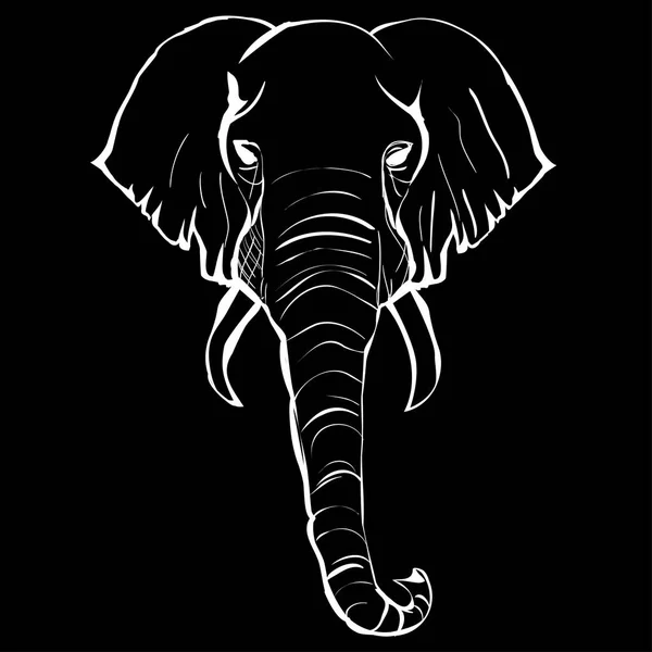Éléphant, animal, vecteur, illustration — Image vectorielle
