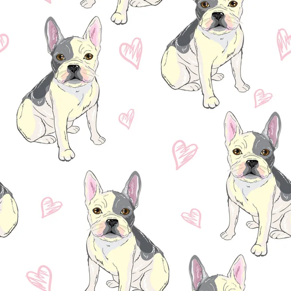 Motif bouledogue, chiot, chien, vecteur, illustration — Image vectorielle