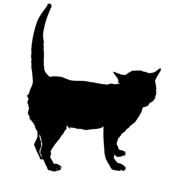 Cat silhouette, vector, illustration — Stock Vector