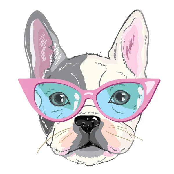 Bouledogue avec lunettes, chiot, chien, vecteur, illustration — Image vectorielle