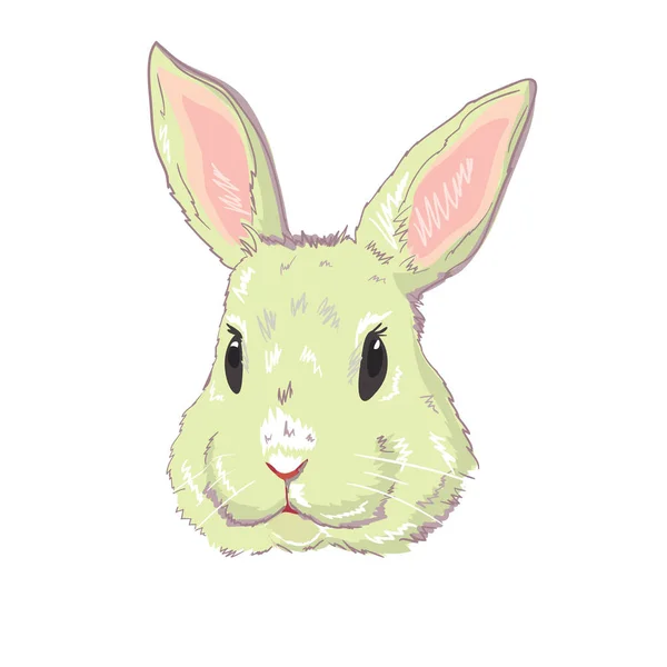 Rabbit, vector, illustration — Stock Vector