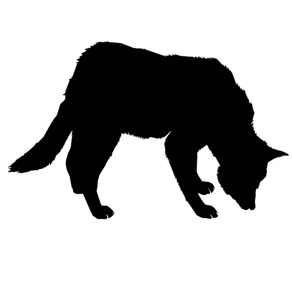 Hond silhouet, vector illustratie — Stockvector