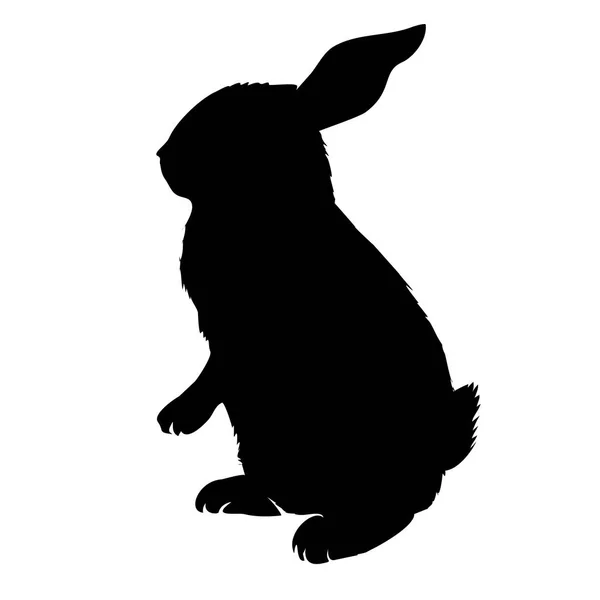 Silhouette de lapin, vecteur, illustration — Image vectorielle