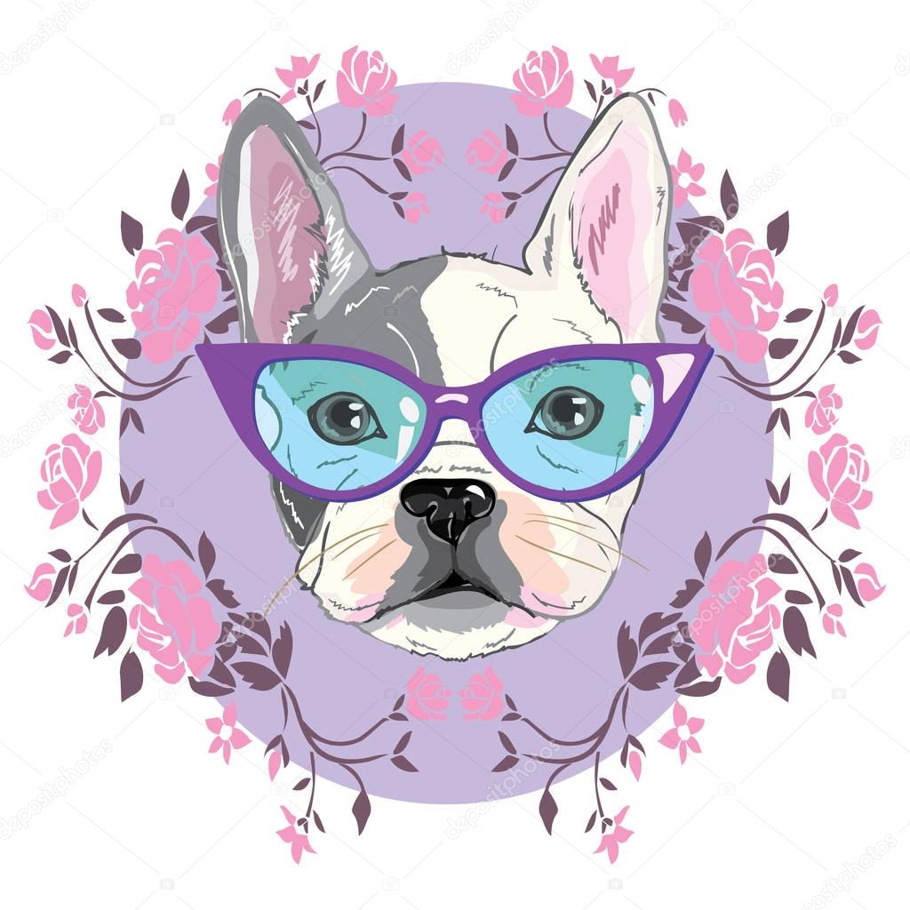 bulldog with glasses, puppy, dog, vector, illustration